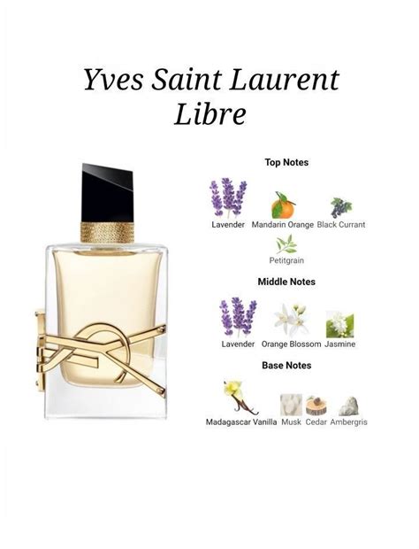 y by ysl notes|yves saint laurent cologne notes.